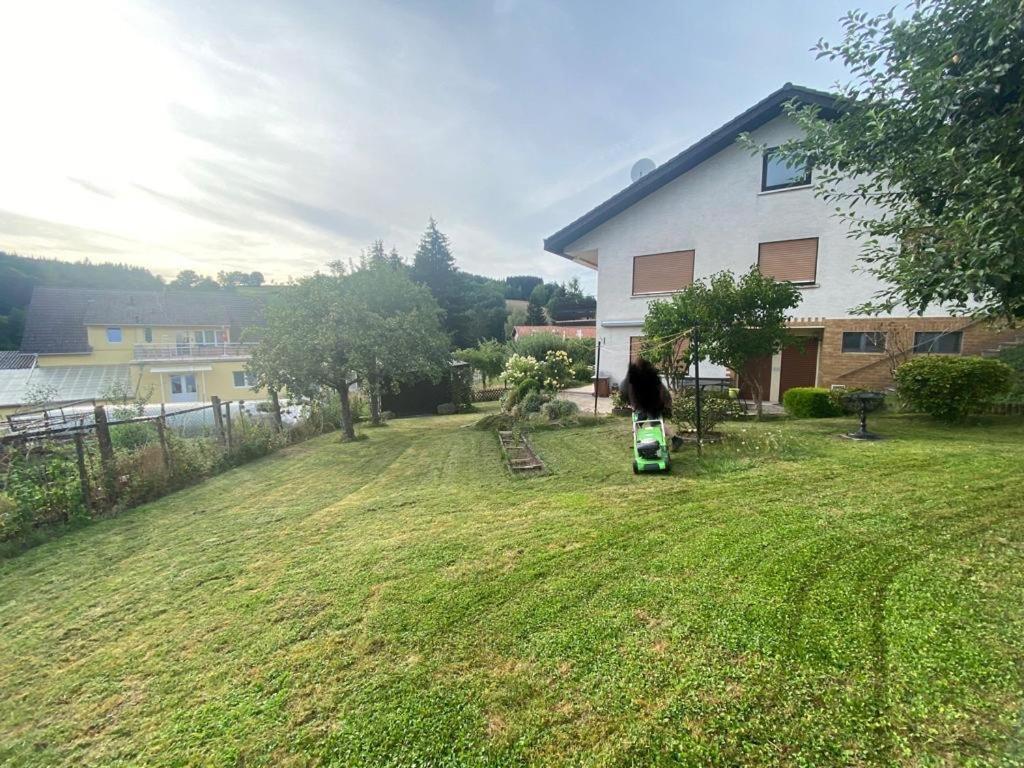 Ferien- Und Monteurwohnung Zum Waldblick Εξωτερικό φωτογραφία